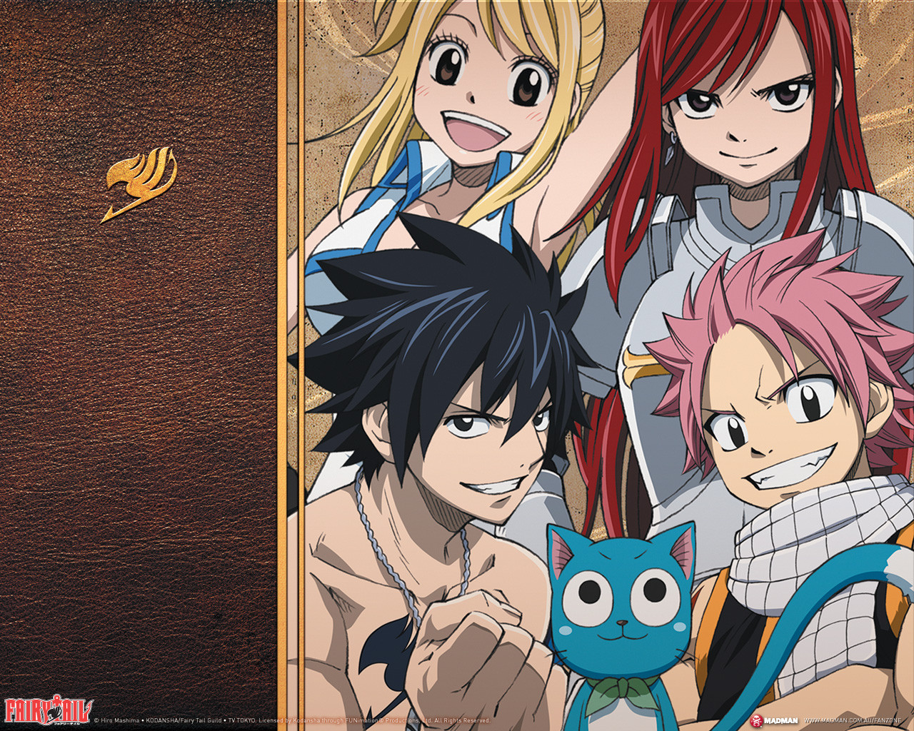 Detail Anime Wallpaper Fairy Tail Nomer 34