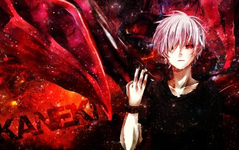 Detail Anime Wallpaper Tokyo Ghoul Nomer 15