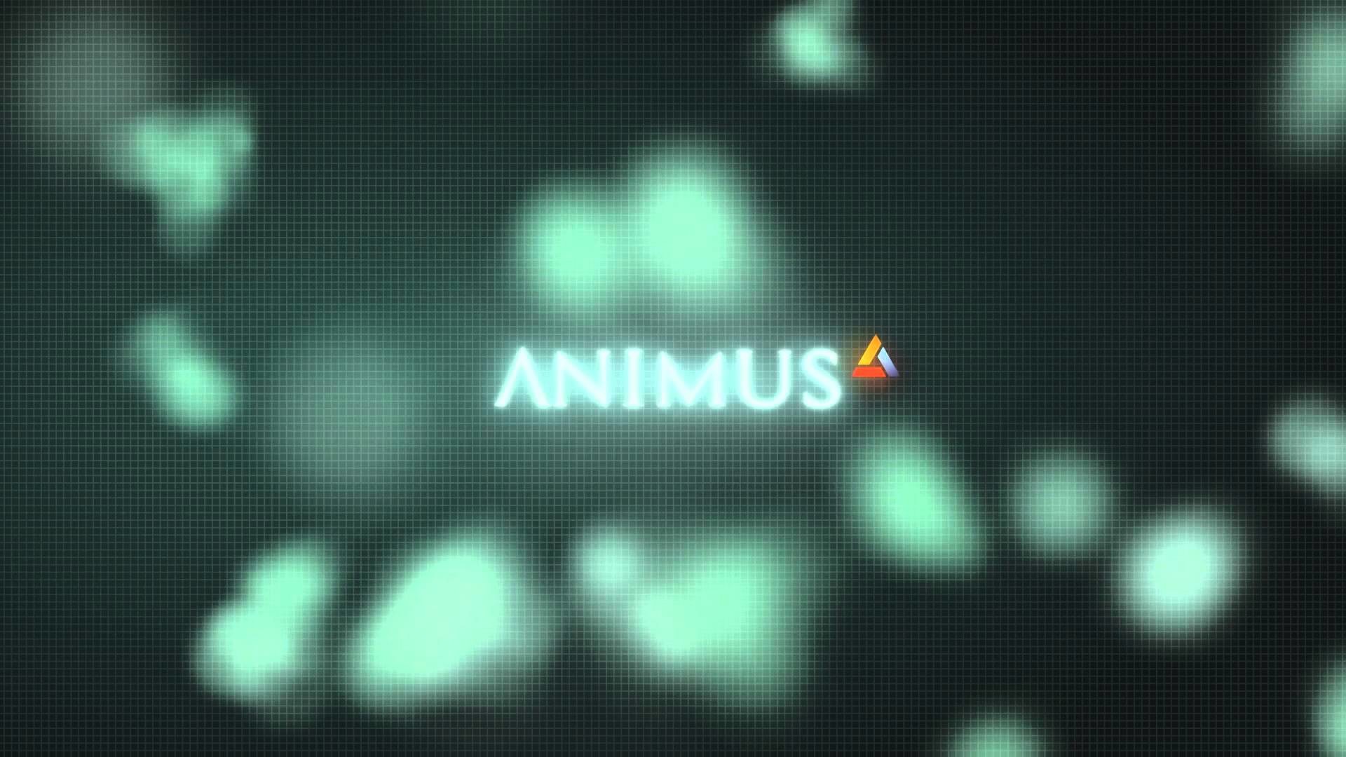 Detail Animus Wallpaper Nomer 39