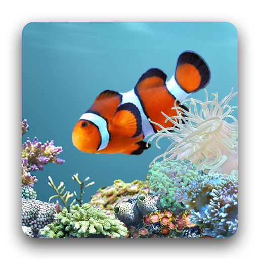 Detail Anipet Aquarium Live Wallpaper Nomer 2