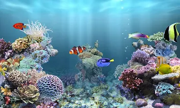 Detail Anipet Aquarium Live Wallpaper Nomer 18