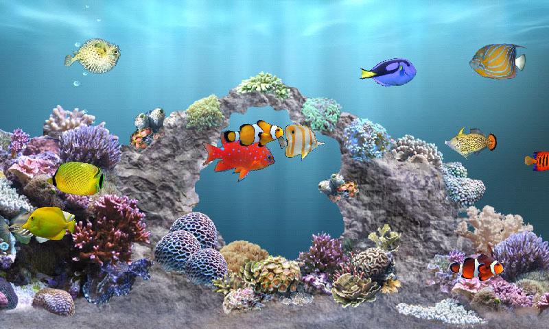 Detail Anipet Aquarium Live Wallpaper Nomer 42