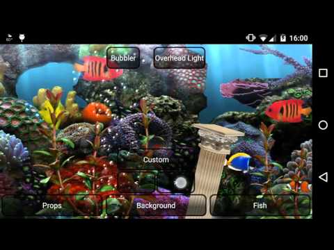 Detail Anipet Aquarium Live Wallpaper Nomer 47