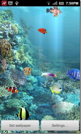 Detail Anipet Aquarium Live Wallpaper Nomer 8