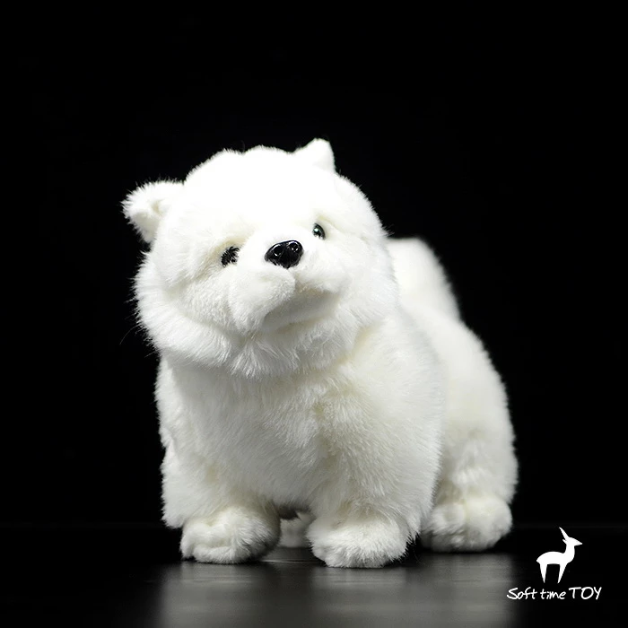 Detail Anjing Chow Chow Putih Nomer 44
