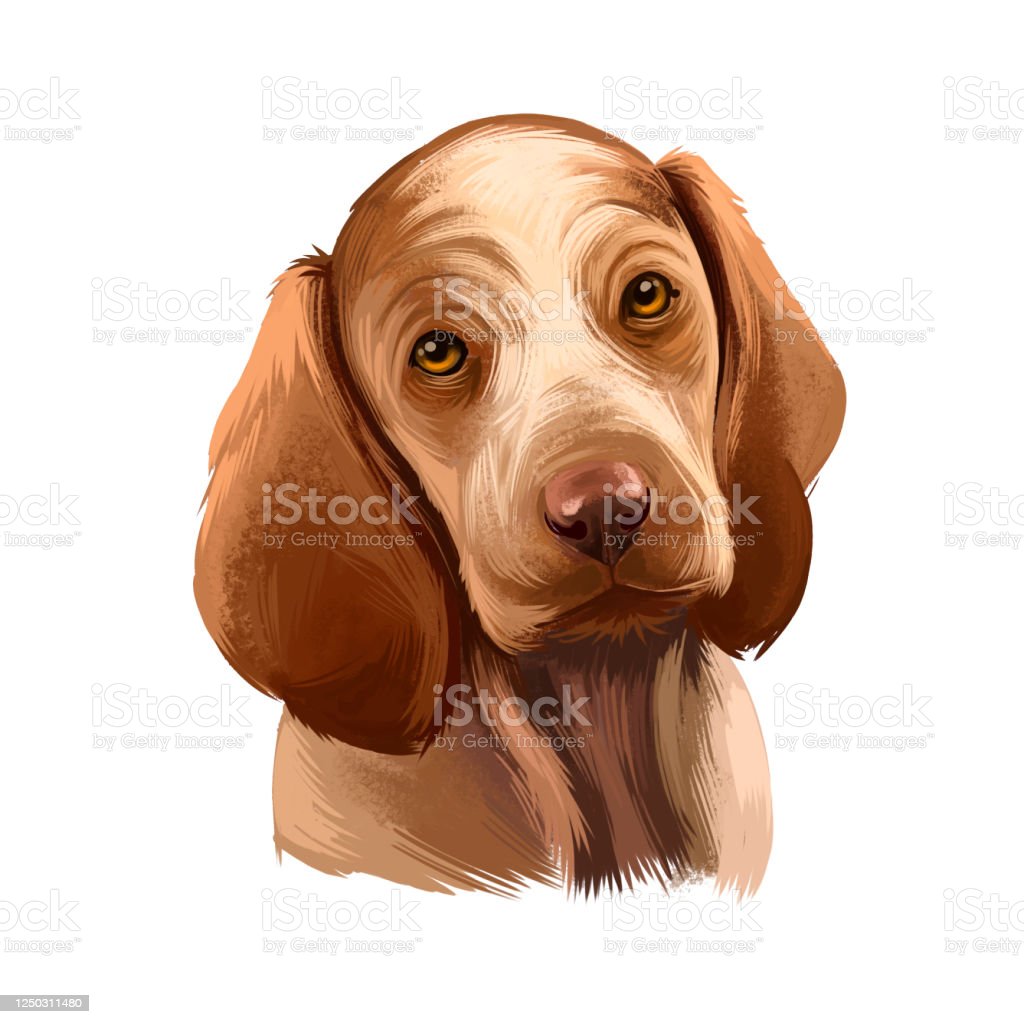 Detail Anjing Clip Art Nomer 21