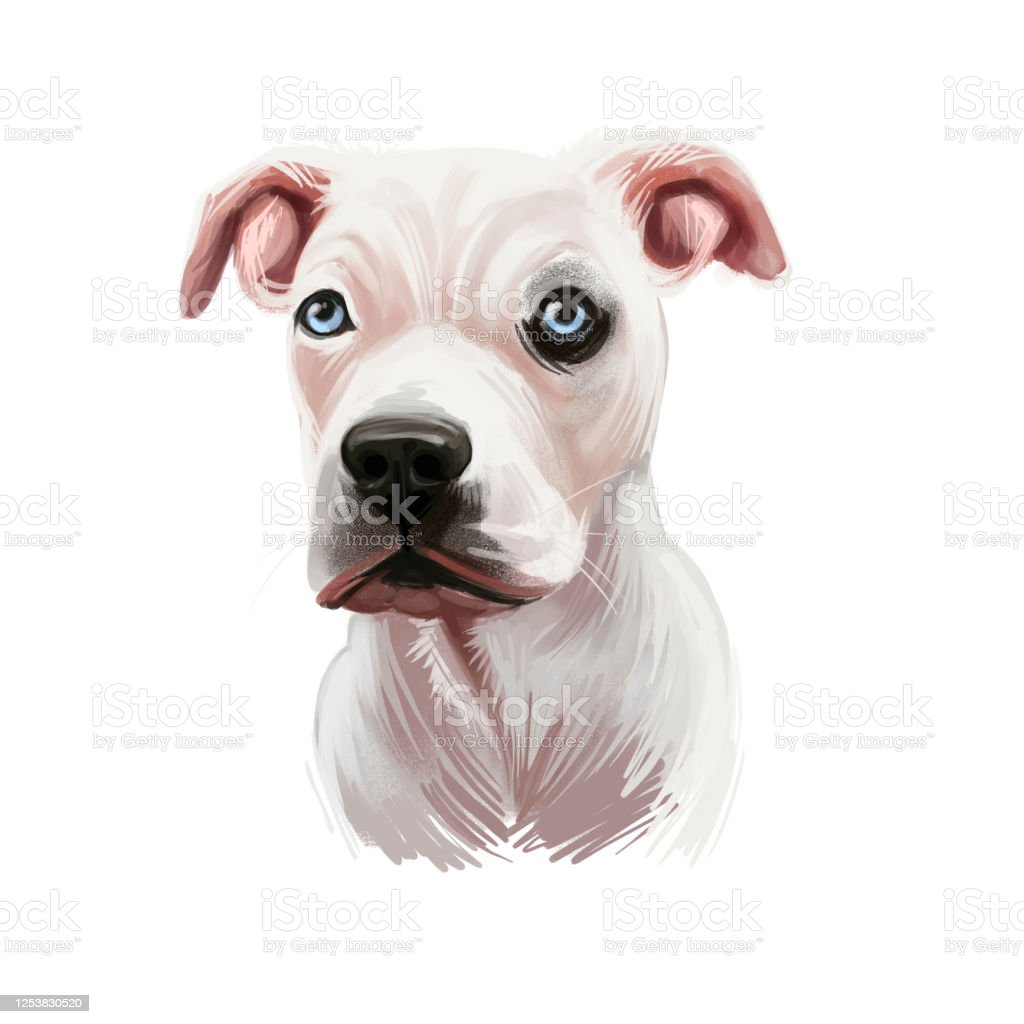 Detail Anjing Clip Art Nomer 25