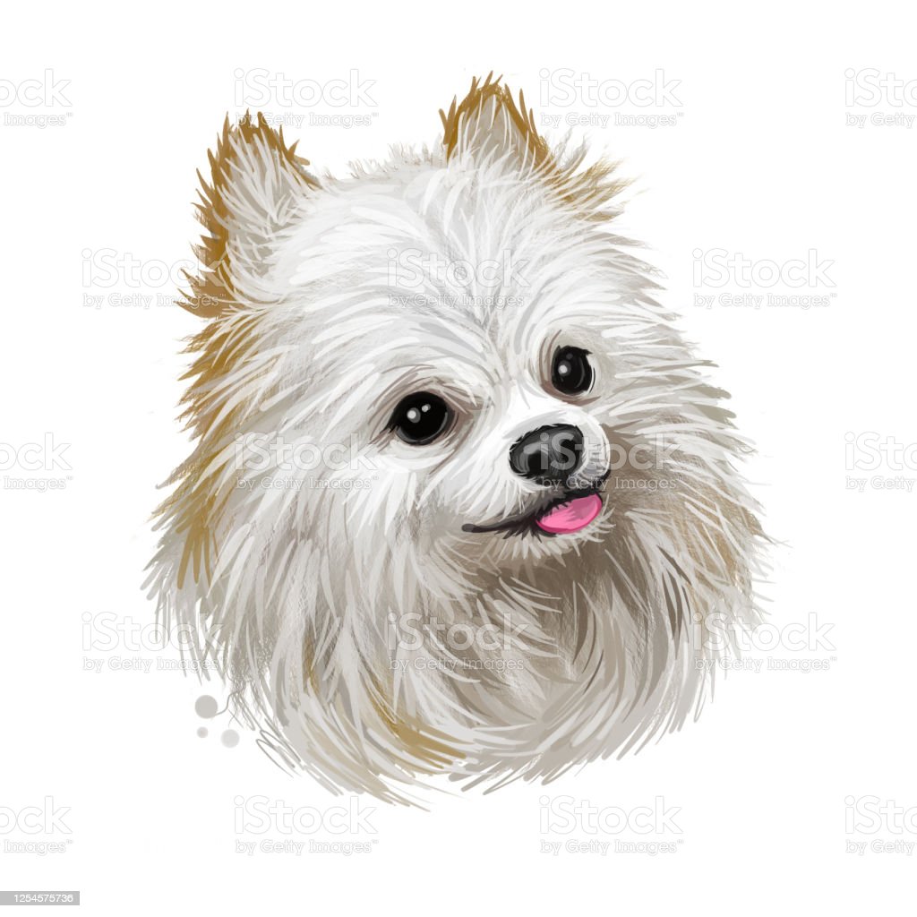 Detail Anjing Clip Art Nomer 39