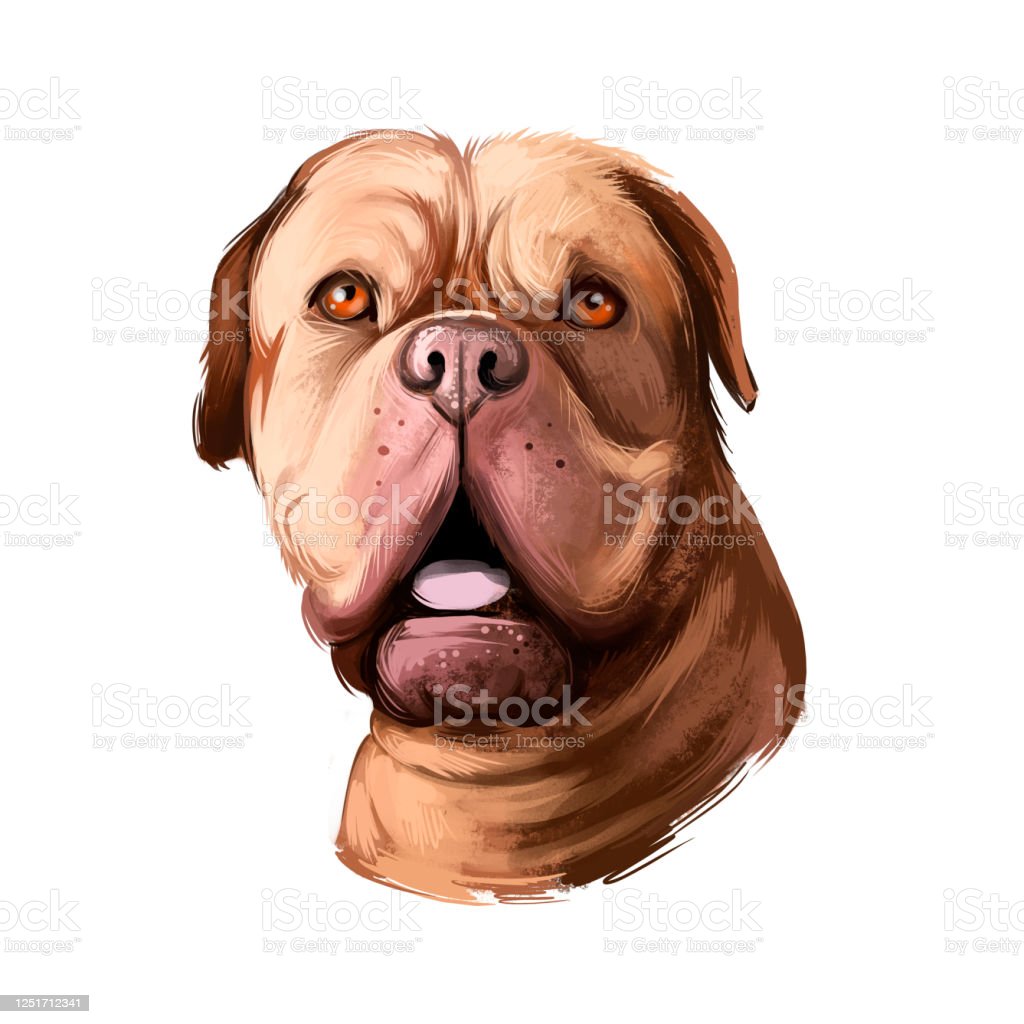 Detail Anjing Clip Art Nomer 42