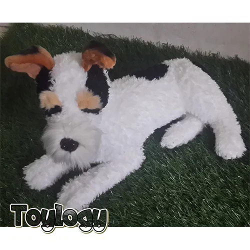 Detail Anjing Fox Terrier Nomer 40