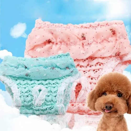 Detail Anjing Loop Nomer 51