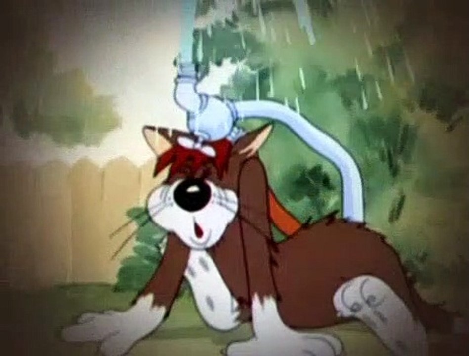 Detail Anjing Tom And Jerry Nomer 36