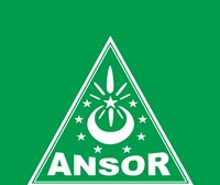 Detail Ansor Logo Png Nomer 41