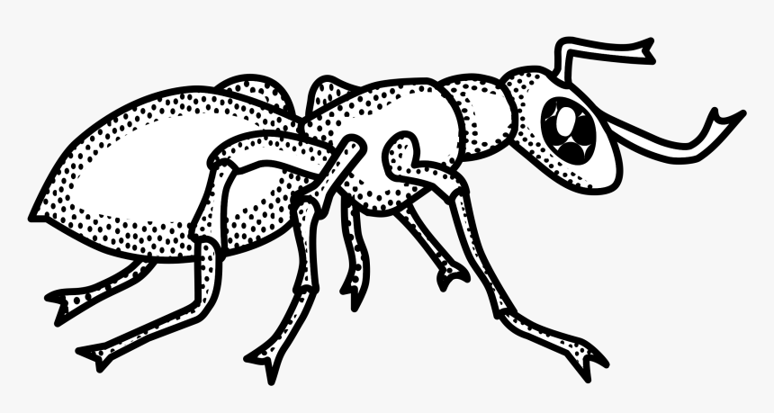 Detail Ant Clip Art Nomer 19