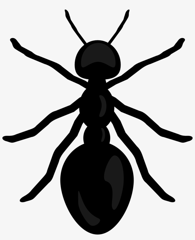Detail Ant Clip Art Nomer 21