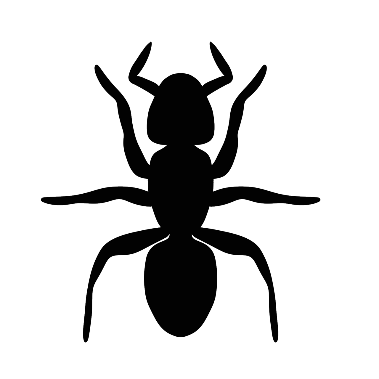 Detail Ant Clipart Nomer 21