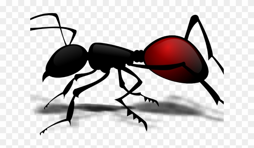 Detail Ant Clipart Nomer 40