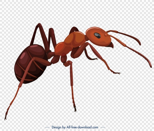 Detail Ant Images Free Download Nomer 12