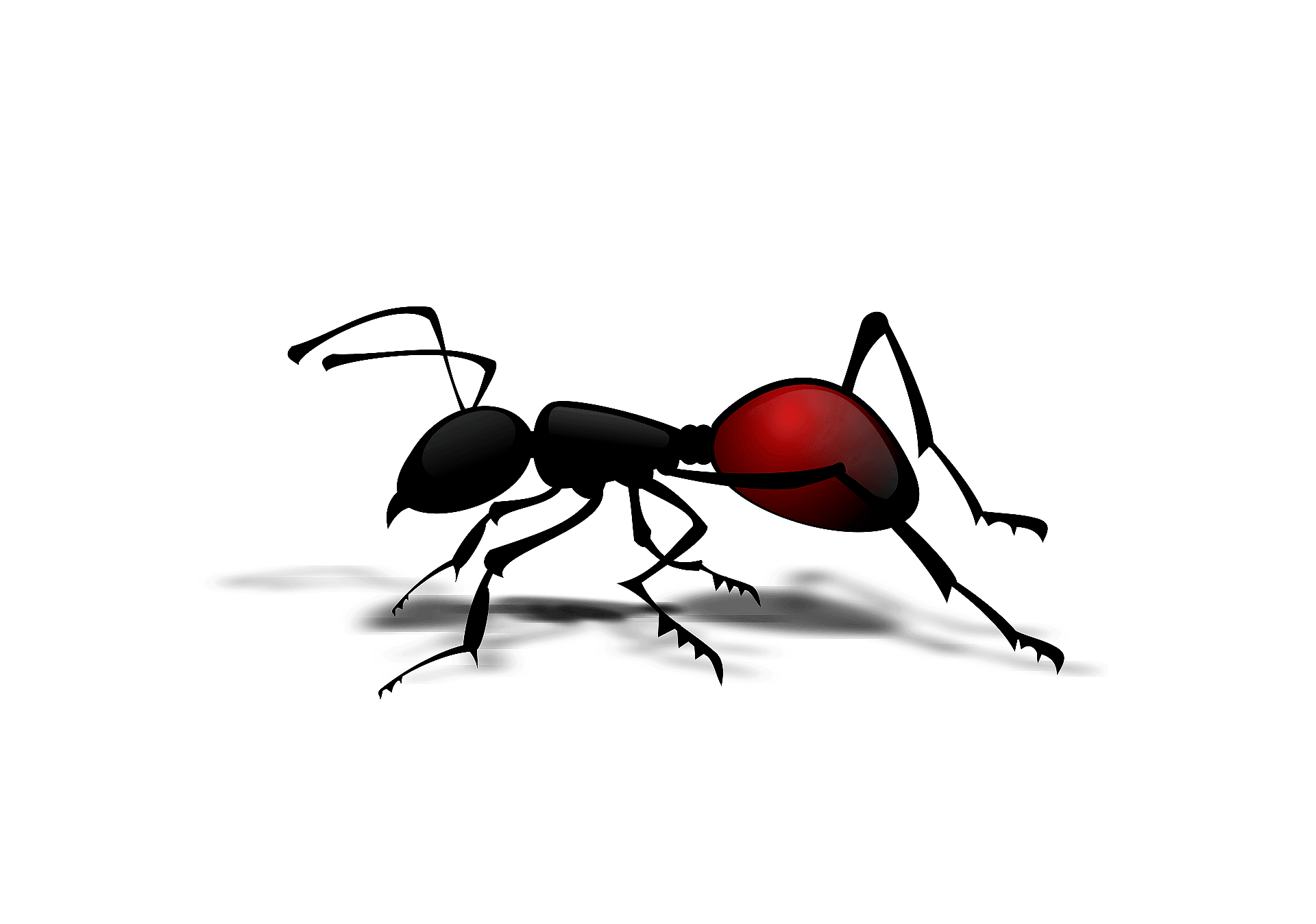 Detail Ant Images Free Download Nomer 29