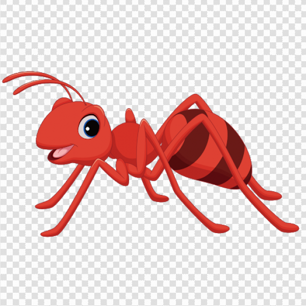 Detail Ant Images Free Download Nomer 32