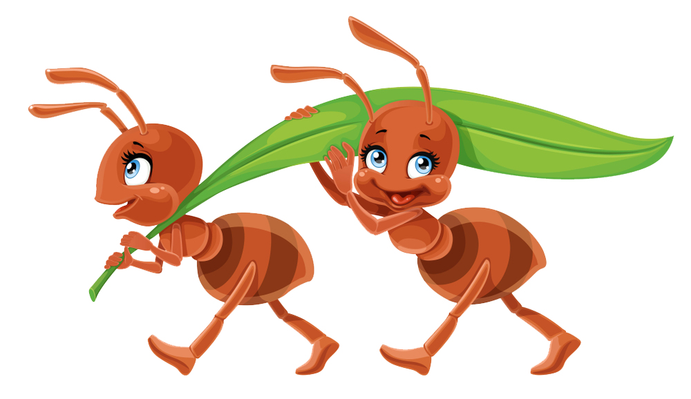 Detail Ant Images Free Download Nomer 35