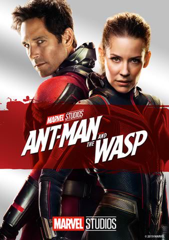 Detail Ant Man And The Wasp 1080p Nomer 14