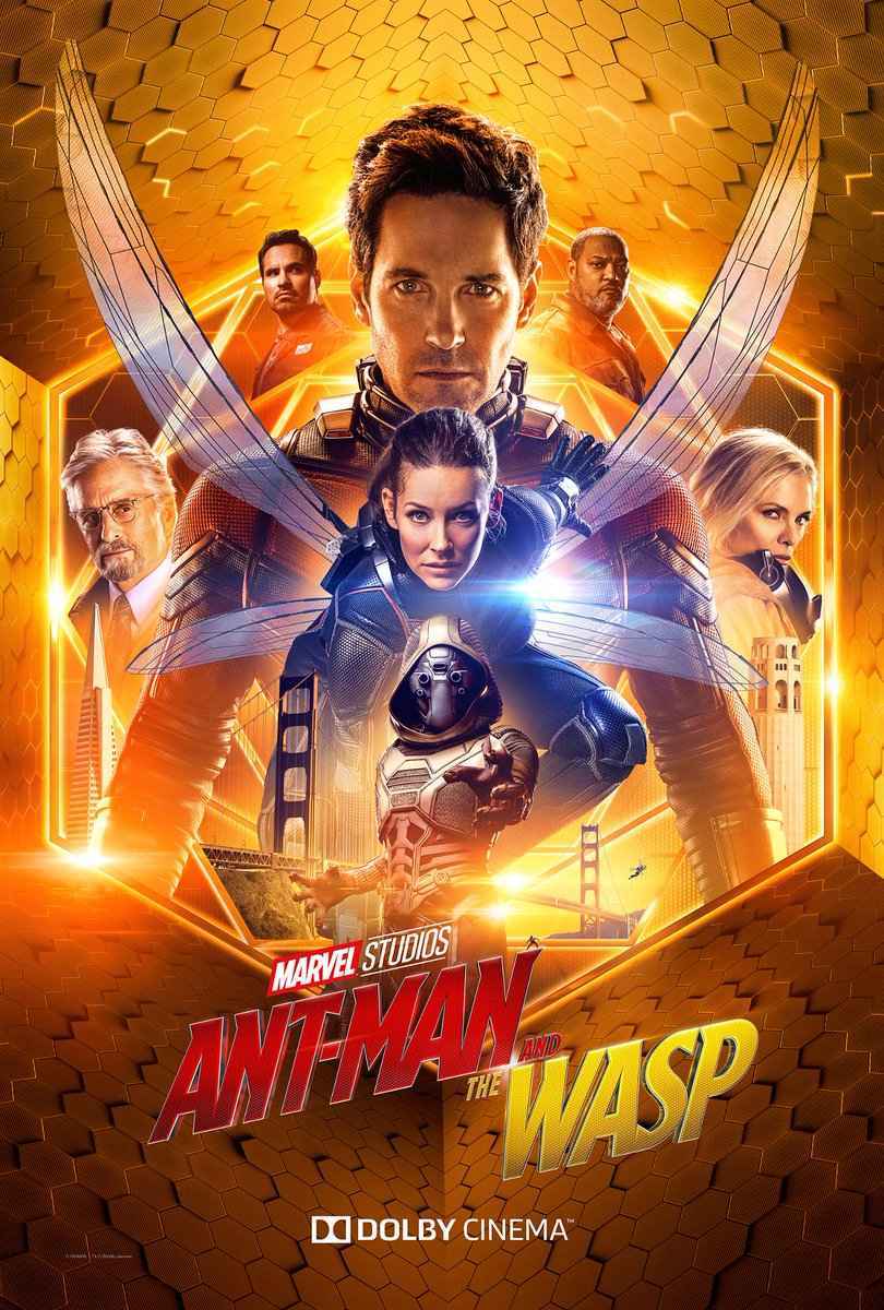 Detail Ant Man And The Wasp 1080p Nomer 10