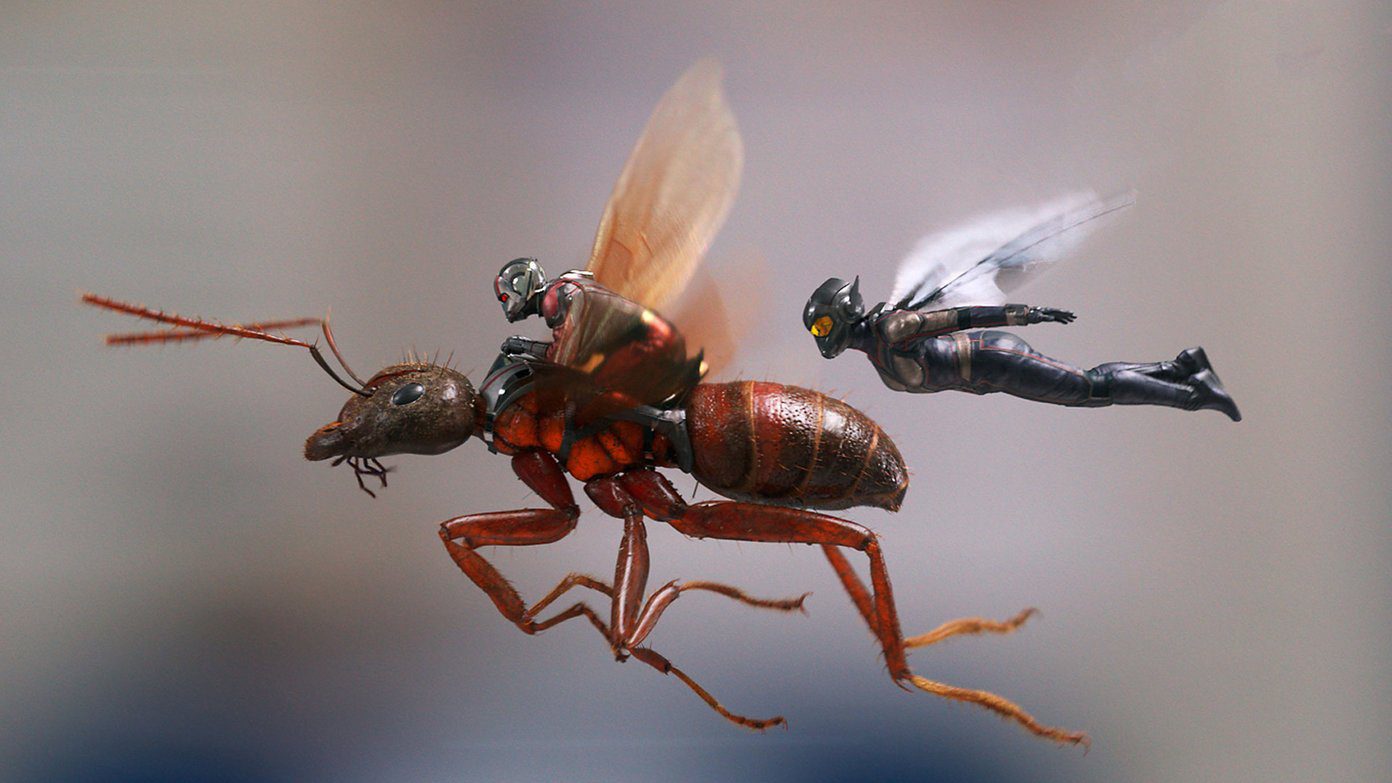 Detail Ant Man And The Wasp Wallpaper Nomer 20