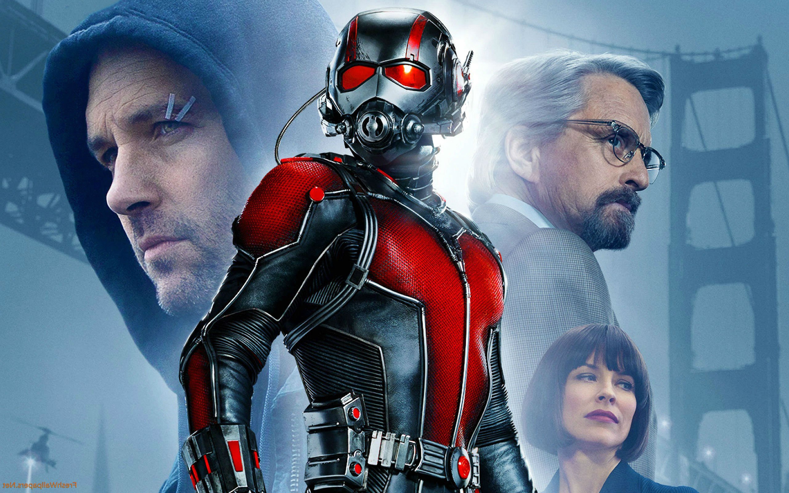 Detail Ant Man Wallpaper Nomer 39