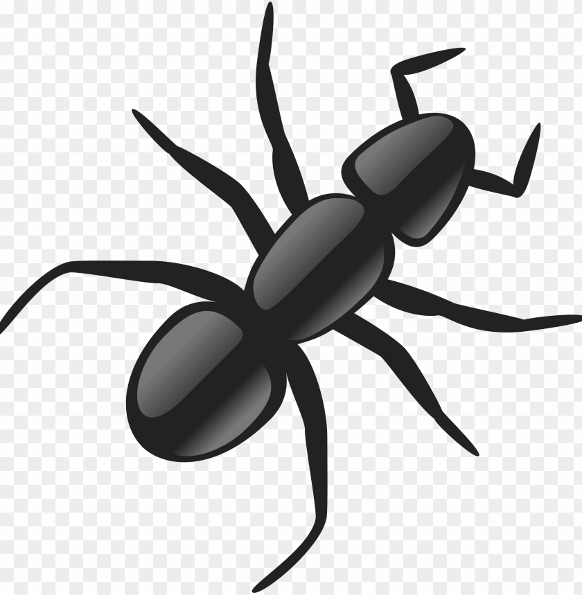 Detail Ant No Background Nomer 19
