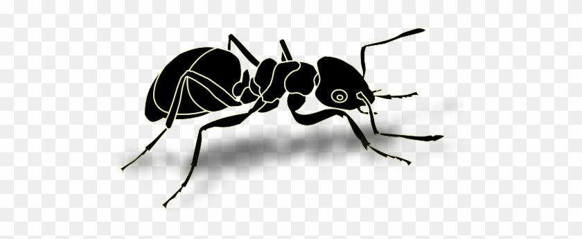 Detail Ant No Background Nomer 31