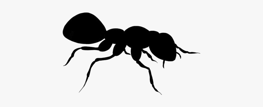 Detail Ant No Background Nomer 52