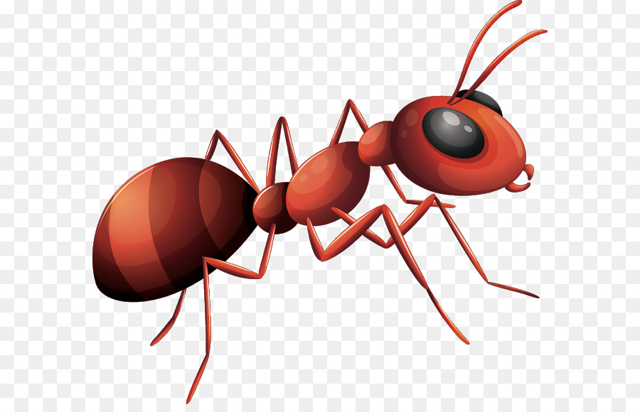 Detail Ant Transparent Background Nomer 10