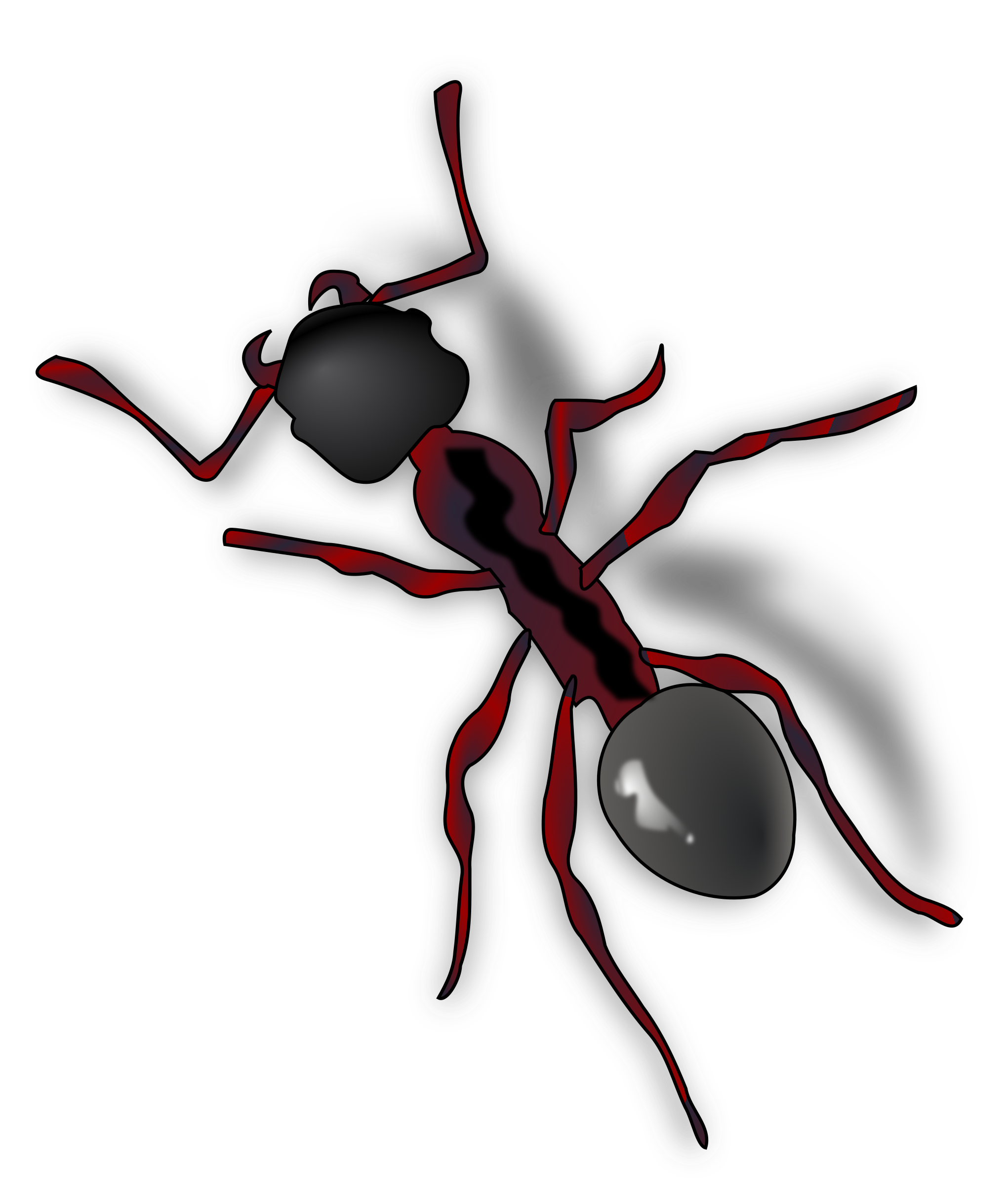 Detail Ant Transparent Background Nomer 39