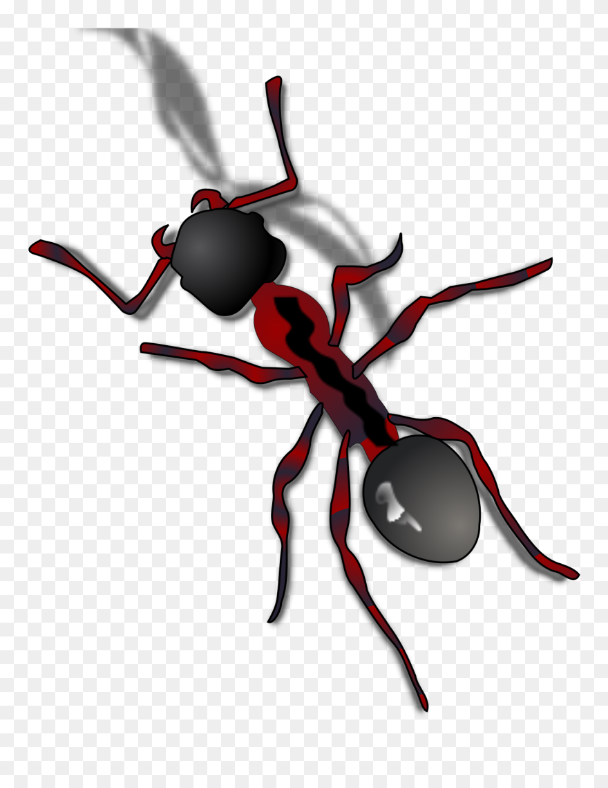 Detail Ant Transparent Background Nomer 40