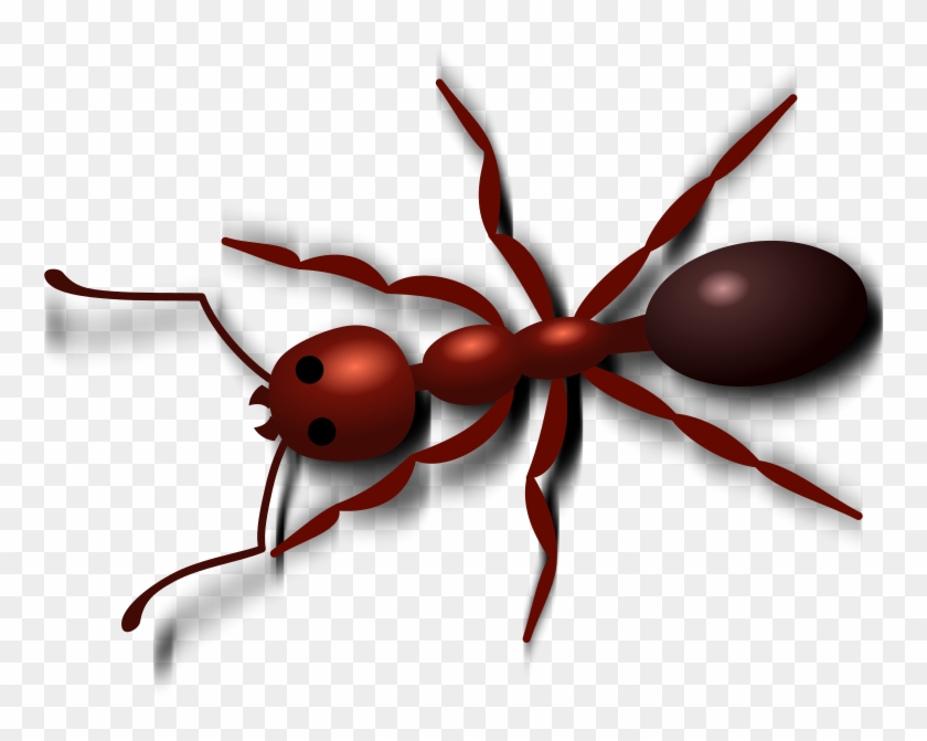 Detail Ant Transparent Background Nomer 53