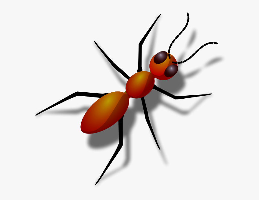 Detail Ant Transparent Background Nomer 54
