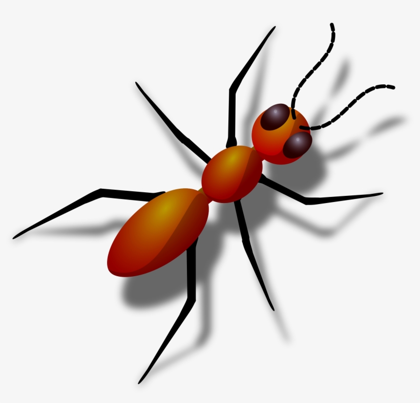 Detail Ant Vector Png Nomer 30