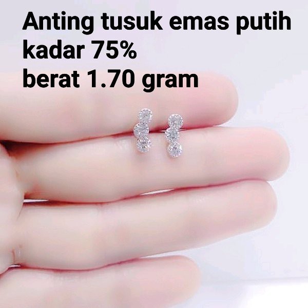 Detail Anting Emas Putih Nomer 25