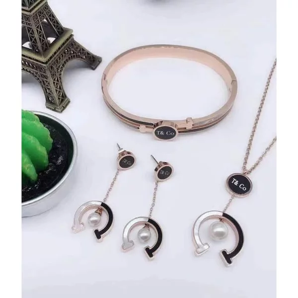 Detail Anting Tiffany And Co Nomer 44