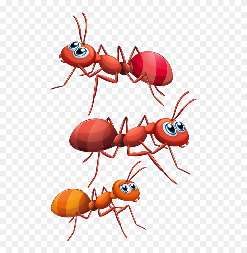 Detail Ants Clipart Nomer 12