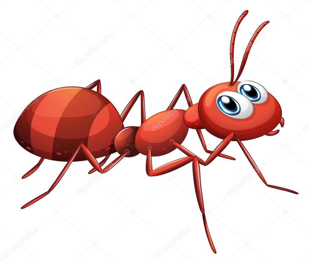 Detail Ants Clipart Nomer 20