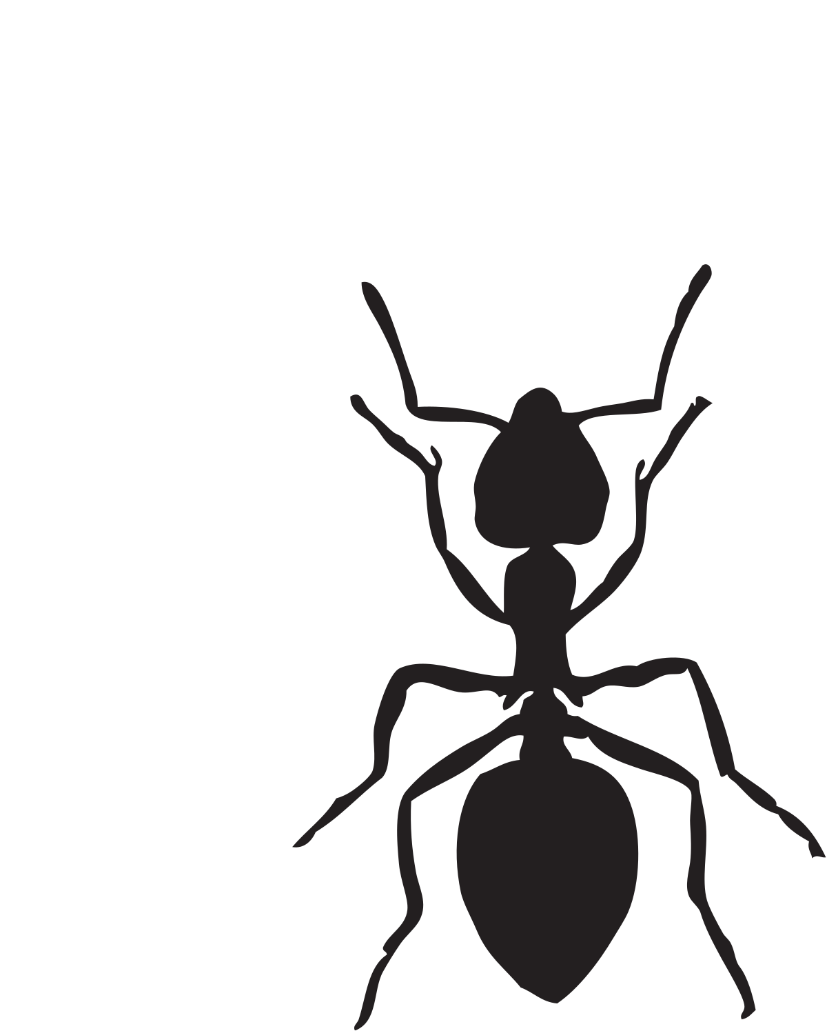 Detail Ants Clipart Nomer 8