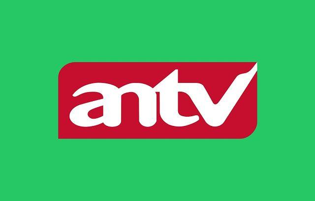 Detail Antv Logo Png Nomer 35