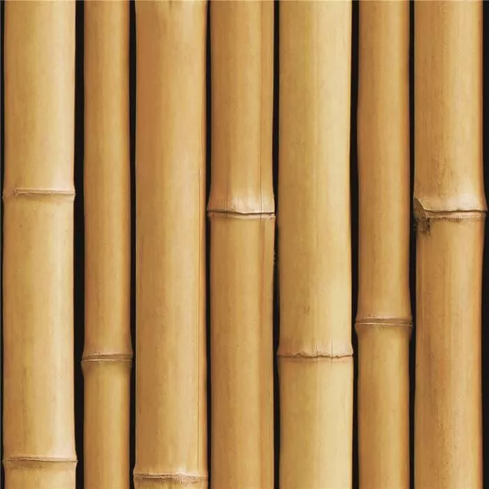 Detail Anyaman Bambu Wallpaper Nomer 44