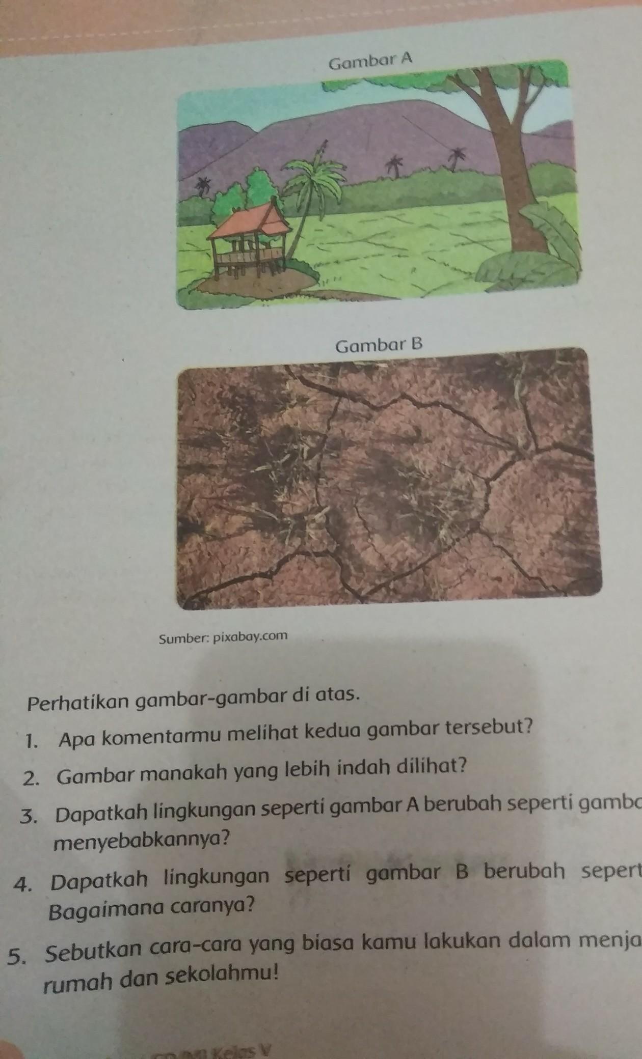 Detail Apa Komentarmu Melihat Kedua Gambar Tersebut Nomer 11