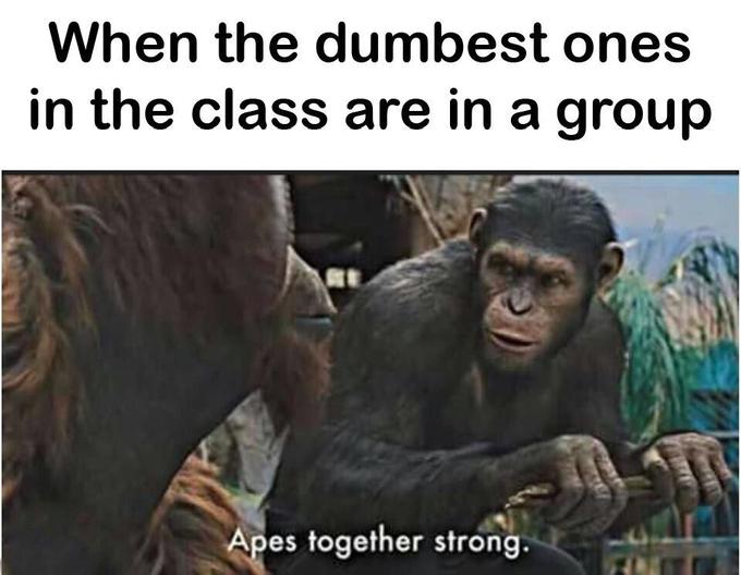 Detail Apes Together Strong Meme Nomer 2