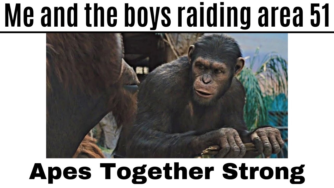 Detail Apes Together Strong Meme Nomer 11