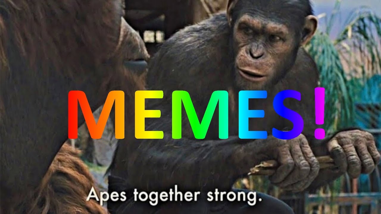 Detail Apes Together Strong Meme Nomer 29