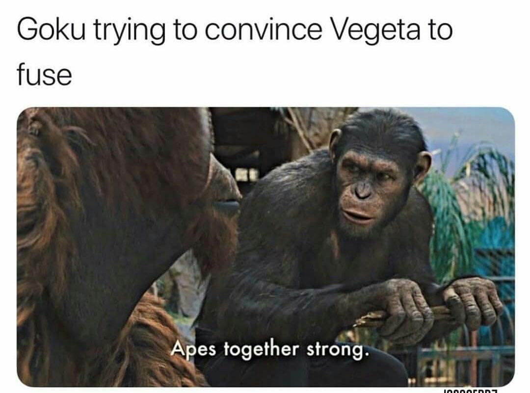 Detail Apes Together Strong Meme Nomer 39